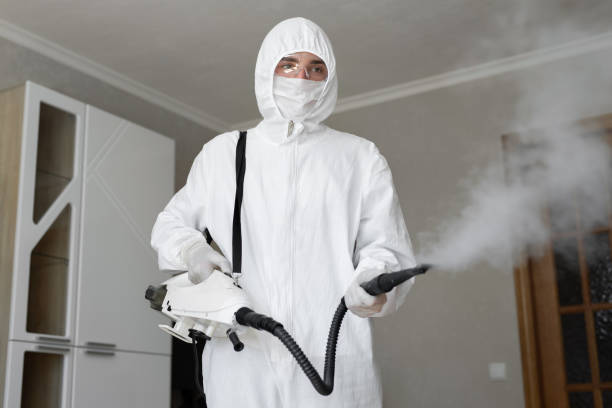 Environmental Consulting for Mold Prevention in Warroad, MN